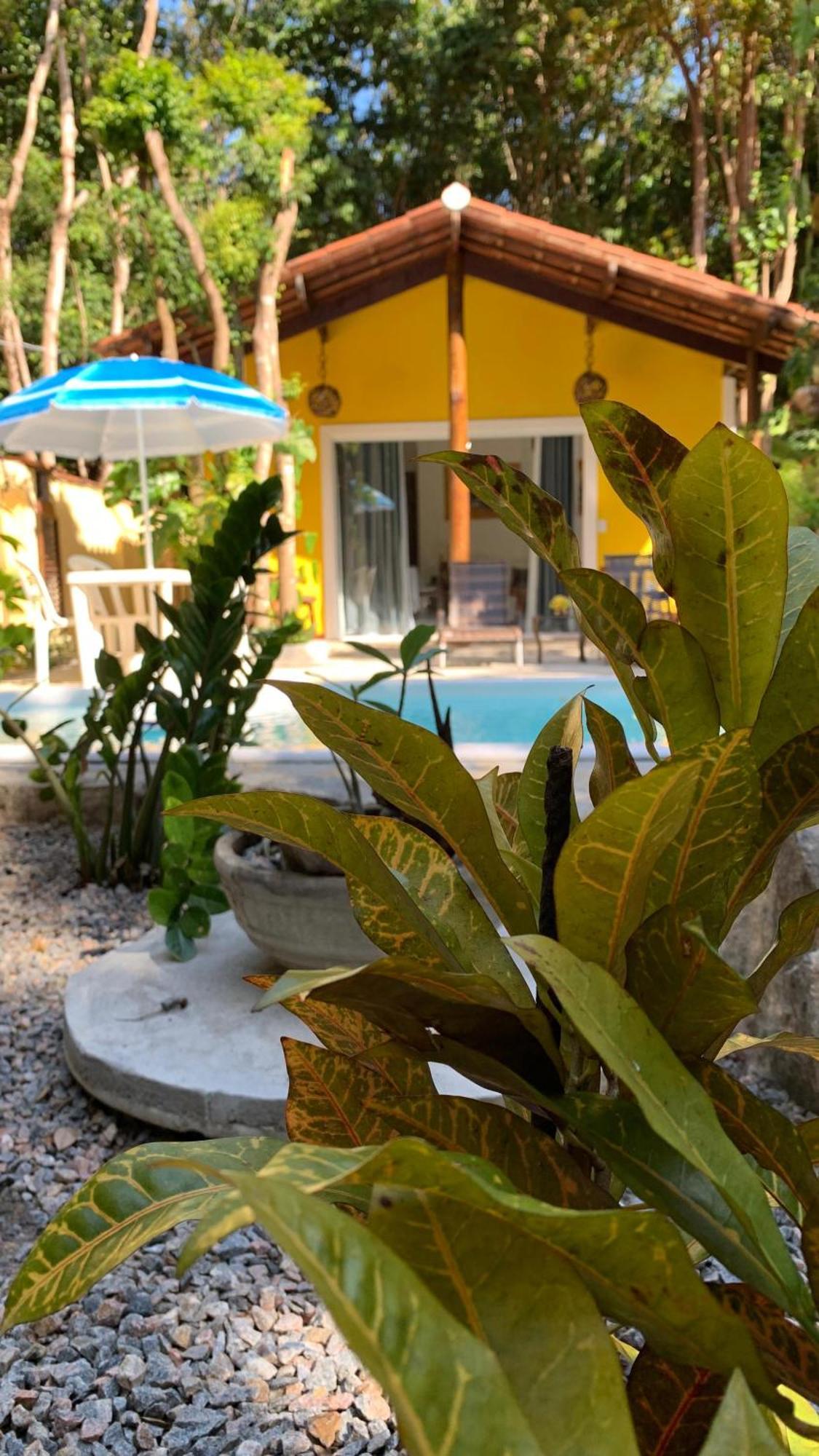 Chale Jacu Beach Pipa Praia de Pipa Room photo